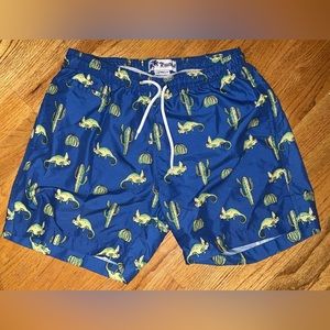 Worn Once! Trunks Surf & Swim Co. Iguana Cactus Blue Green Swim Shorts Size M